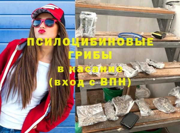 гидропоника Алзамай